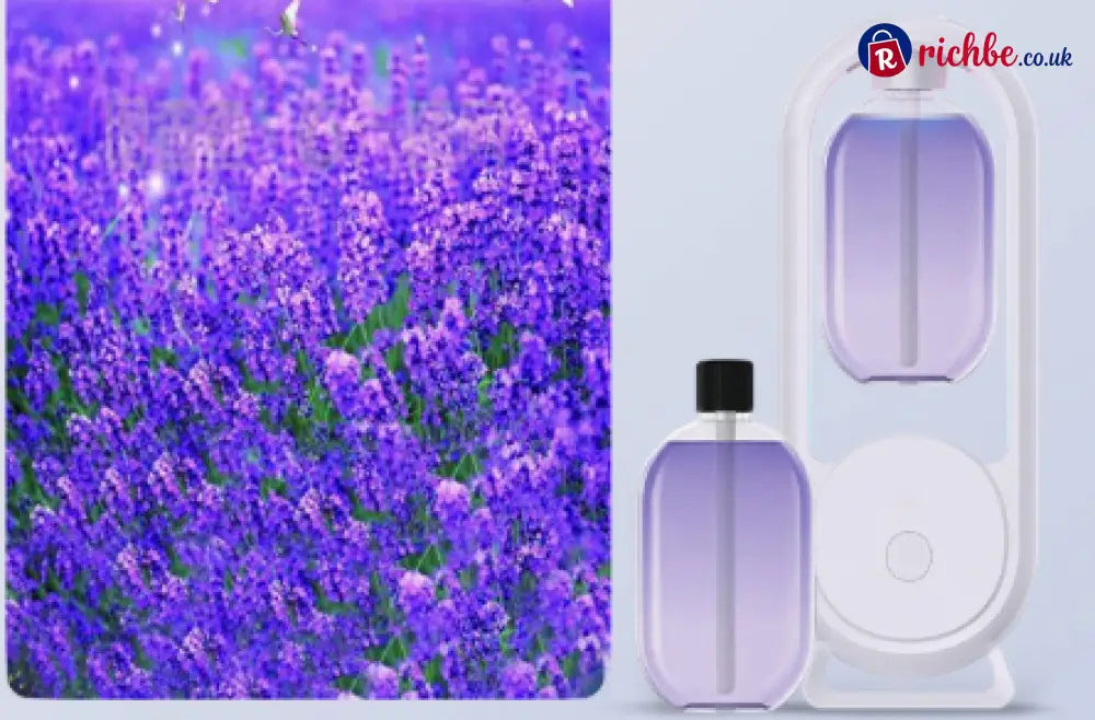 🌸 Essential Oil Diffuser USB Powered with Light ✨ - Lavender