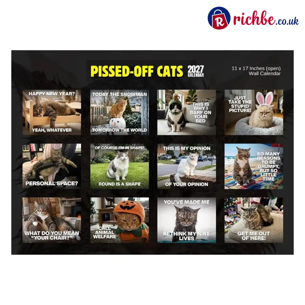 🔥PISSED-OFF CATS 2027 Wall Calendar - Funny Gift for Cat Lovers