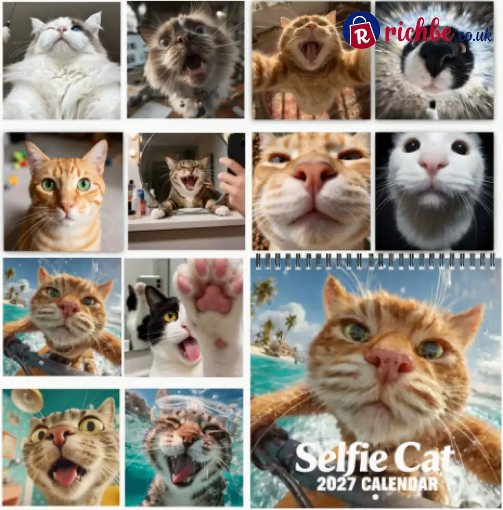 😼Selfie Cat 2027 Wall Calendar – 12 Months of Hilarious Cat Close-Ups - 2027 CALENDAR