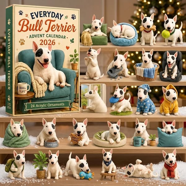 Everyday Bull Terrier Advent Calendar 2026 - 24-Day Festive Countdown
