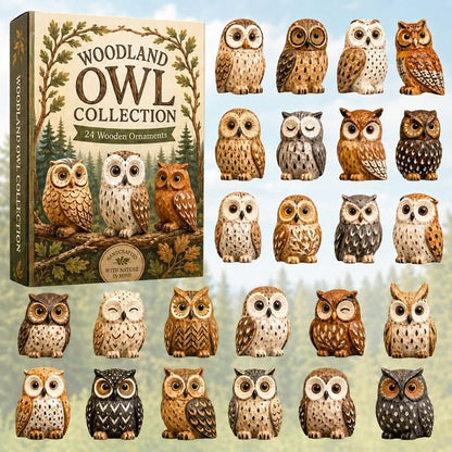CHRISTMAS KICKOFF 49% OFF - Whimsical Owls Advent Calendar 2026 - 24-Day Festive Countdown, Acrylic Charms Blind Box - Gift For Animal Lovers