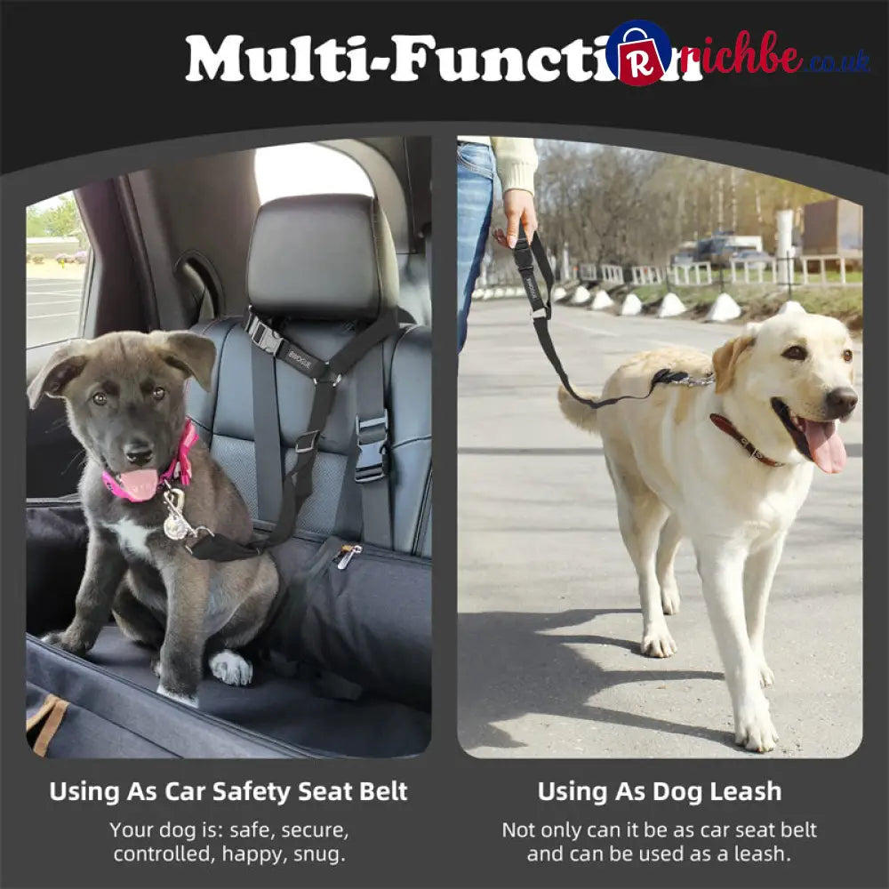 2-in-1 Dog Car Seat Belt & Walking Leash - Hot Sale