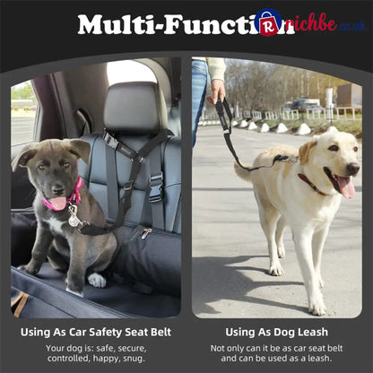 2-in-1 Dog Car Seat Belt & Walking Leash - Hot Sale