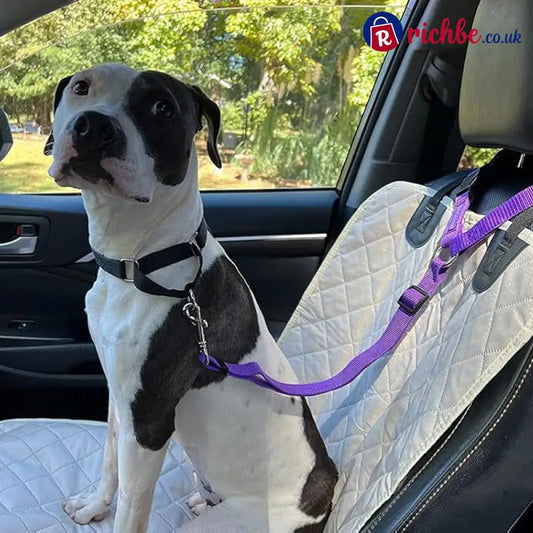 2-in-1 Dog Car Seat Belt & Walking Leash - Hot Sale