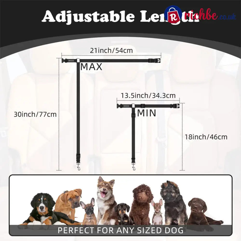 2-in-1 Dog Car Seat Belt & Walking Leash - Hot Sale
