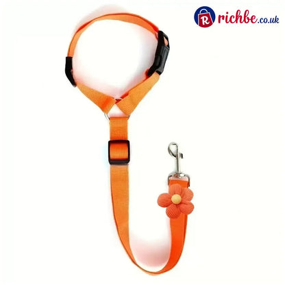 2-in-1 Dog Car Seat Belt & Walking Leash - Orange - Hot Sale