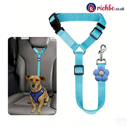 2-in-1 Dog Car Seat Belt & Walking Leash - Sky Blue - Hot Sale