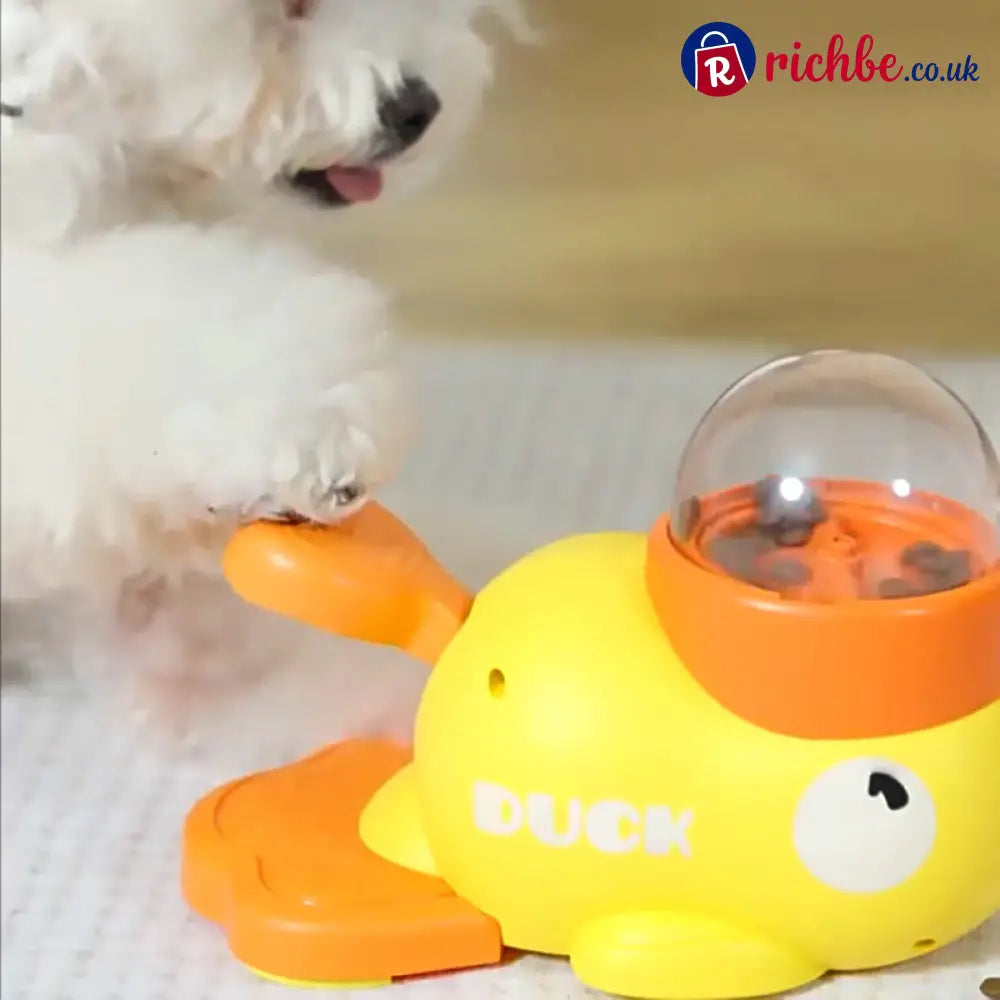 2-in-1 Interactive Dog Puzzle Toy & Feeder - Hot sale