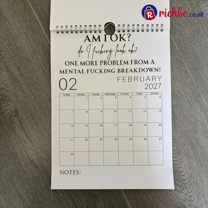 🥳2026 HOT SALE🥳💞50K+ SOLD!-Fuck It Calendar 2027 Funny Sweary Wall Calendar