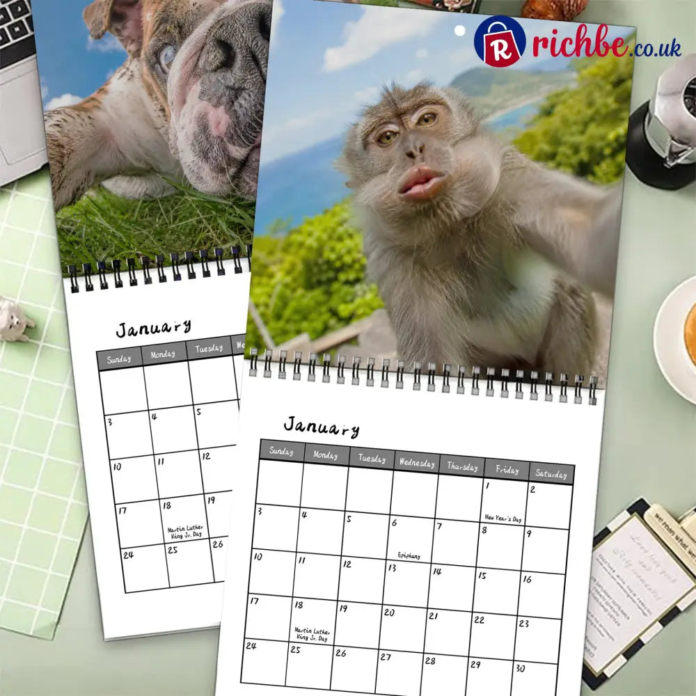 2027 Funny Farm Animal Selfies Wall Calendar – 12 Months of Hilariously Unfiltered Animal Faces