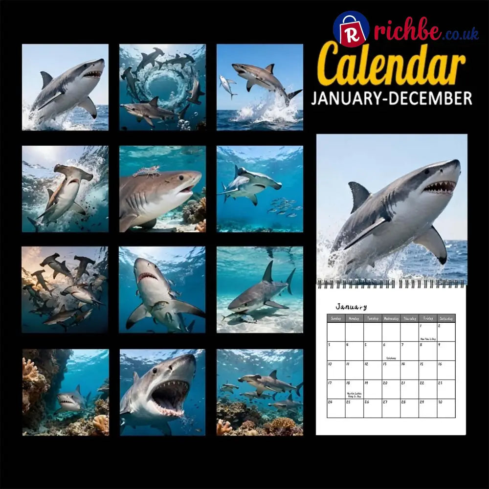 🦈2027 Sharks Wall Calendar – 12 Months of Incredible Sharks & Ocean Adventures - 2027 CALENDAR
