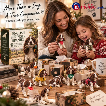 24 Days of English Springer Spaniels – 24 Personalities One Unforgettable Pack