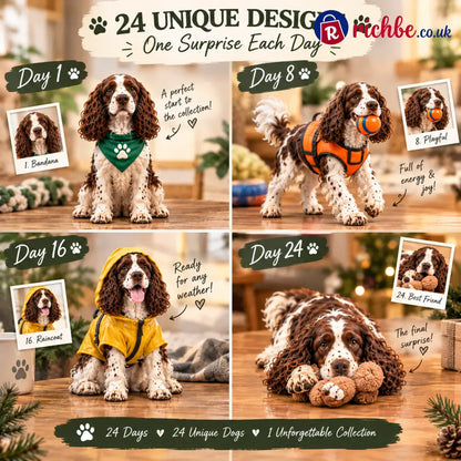 24 Days of English Springer Spaniels – 24 Personalities One Unforgettable Pack