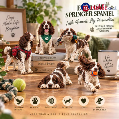 24 Days of English Springer Spaniels – 24 Personalities One Unforgettable Pack