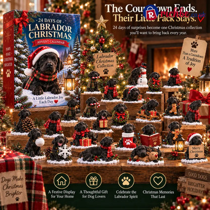24 Days of Labrador Christmas – Black Lab Advent Calendar 🐾🎄