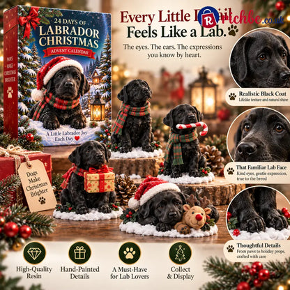 24 Days of Labrador Christmas – Black Lab Advent Calendar 🐾🎄