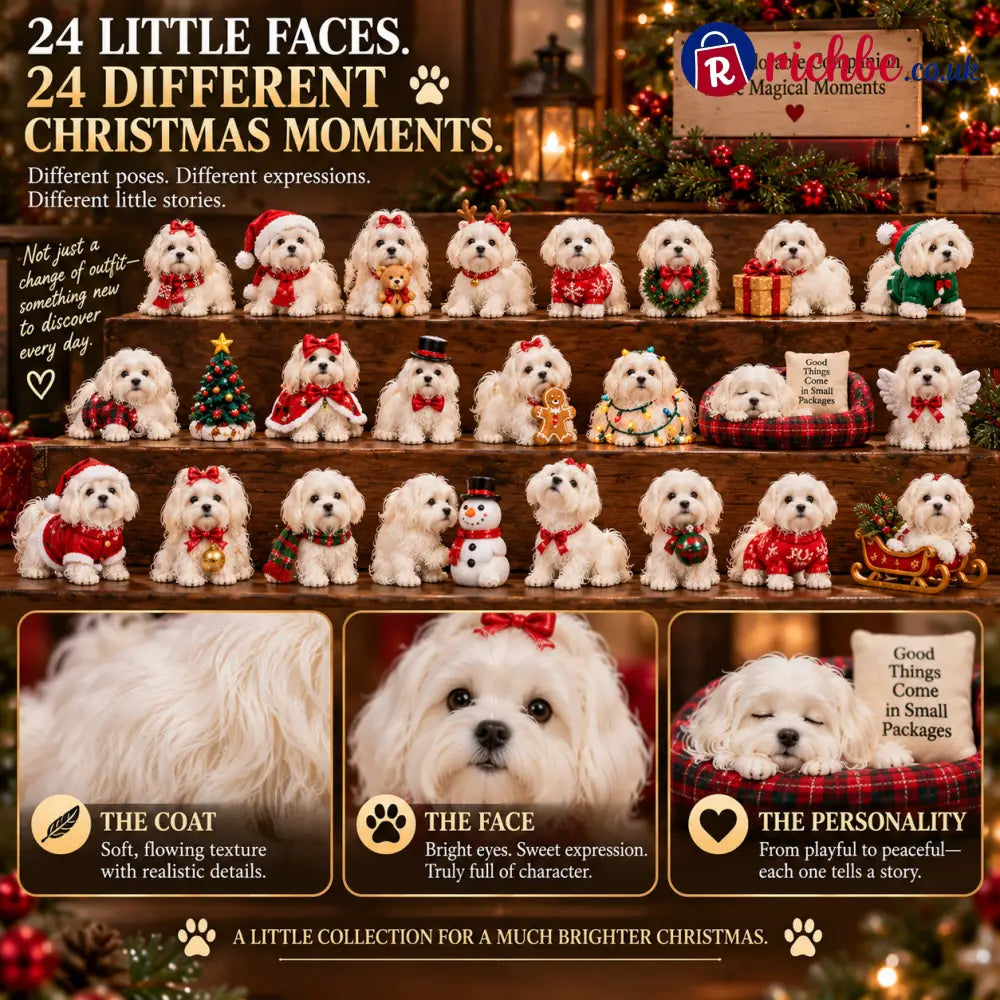 24 Days of Maltese Joy – A Christmas Collection of Little Moments & Big Love🐾❤️