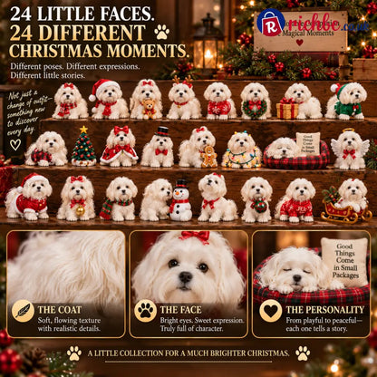 24 Days of Maltese Joy – A Christmas Collection of Little Moments & Big Love🐾❤️