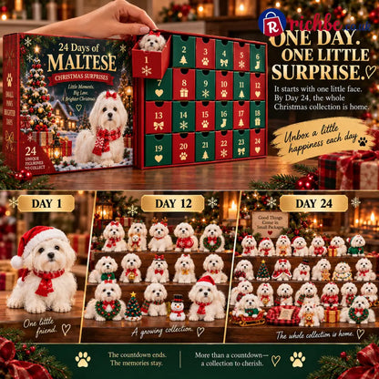 24 Days of Maltese Joy – A Christmas Collection of Little Moments & Big Love🐾❤️