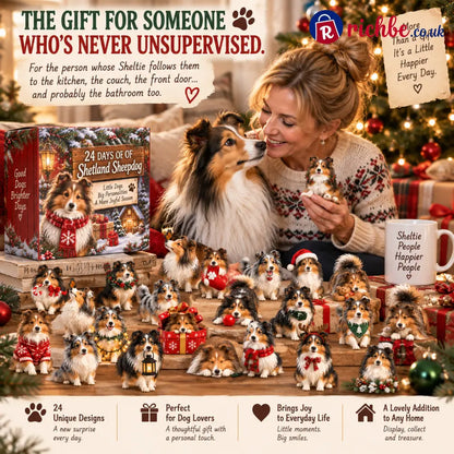 24 Days of Sheltie Joy, 24 Fluffy Personalities One Loyal Little Pack 🐾❤️