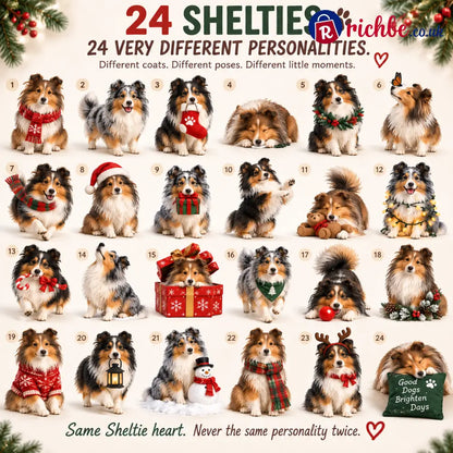 24 Days of Sheltie Joy, 24 Fluffy Personalities One Loyal Little Pack 🐾❤️