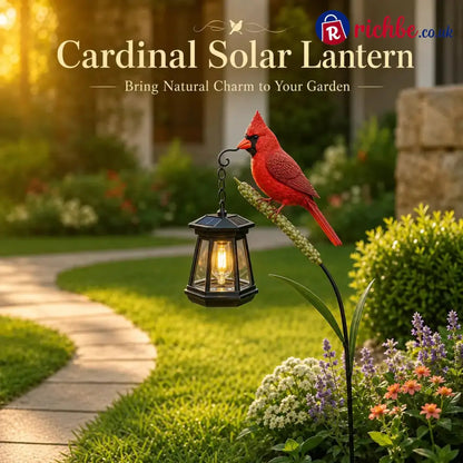 🐦 Cardinal Solar Light, A Beautiful Garden Light That Feels Full of Life