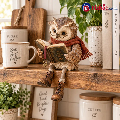 🦉 Cute Reading Owl Ornament | Book Nook Shelf Decor - Houseware & Kitchen