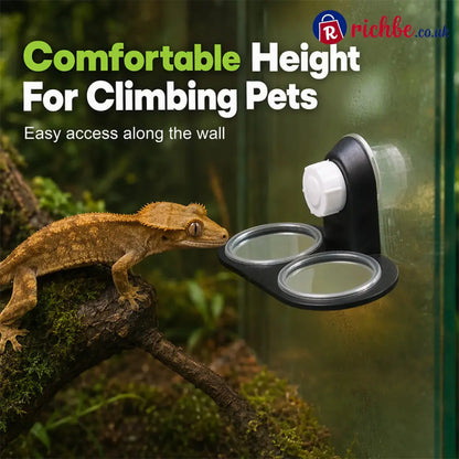 Double Reptile Feeding Ledge with Bowls - Hot sale