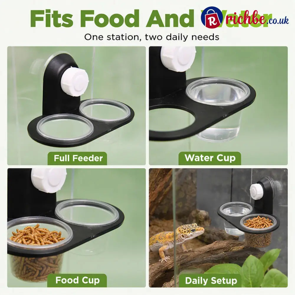 Double Reptile Feeding Ledge with Bowls - Hot sale