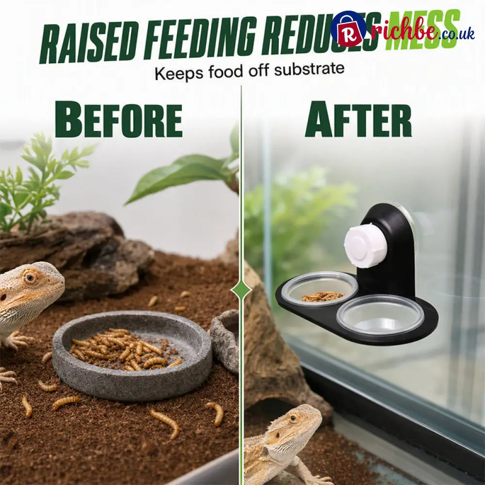 Double Reptile Feeding Ledge with Bowls - Hot sale