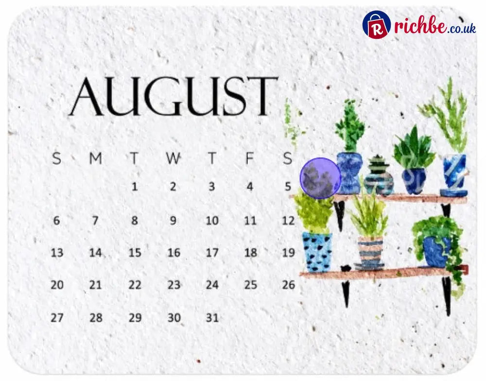 ✨Early Holiday Sale 45% OFF🌱Eco-Friendly Plantable “Timeless” Seed Calendar 2027