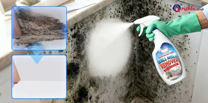 🔥👍Fast Acting Anti-Mold Wall Cleaner Spray