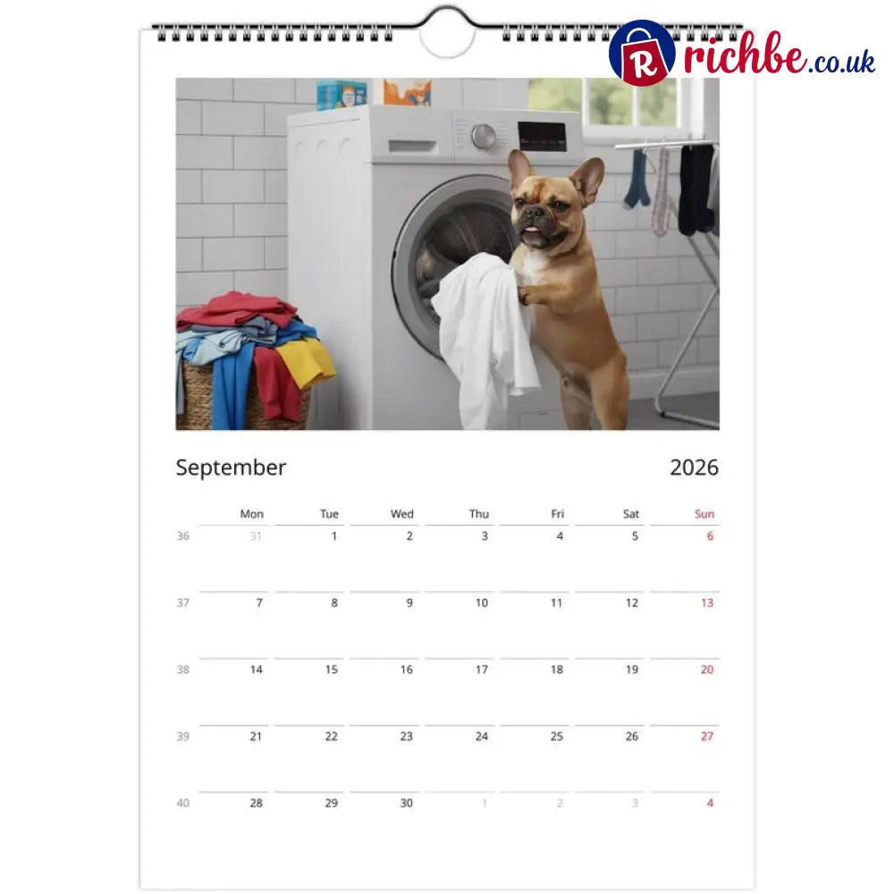 French bulldog Calendar 2026 - Daily Activities