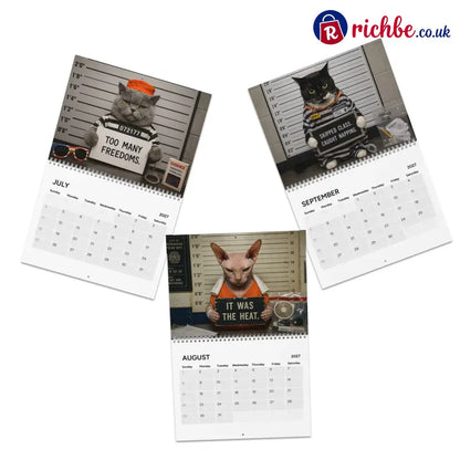 😂Funny Cat Mugshots 2027 Calendar