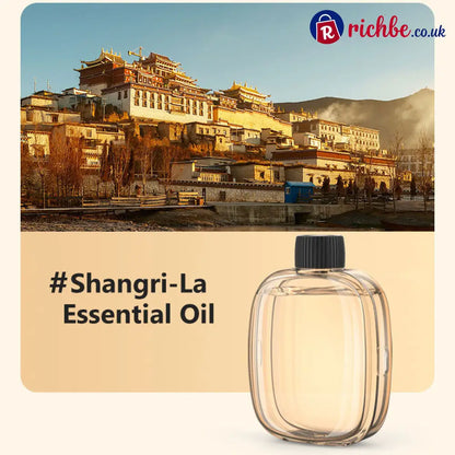 🎁Gift Idea Hot Sale 49% OFF🌸Automatic Fragrance Spray for Home - Bestseller