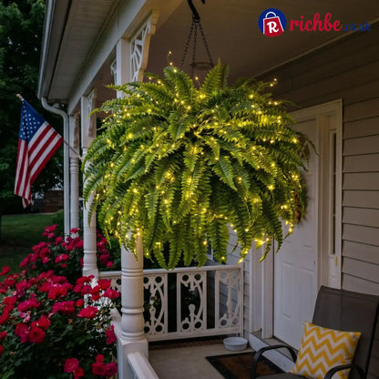 💛Glowing Boston Ferns with Lights – 🌿 Zero Watering Zero Maintenance