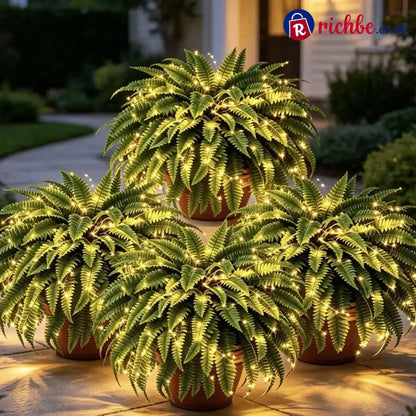 💛Glowing Boston Ferns with Lights – 🌿 Zero Watering Zero Maintenance
