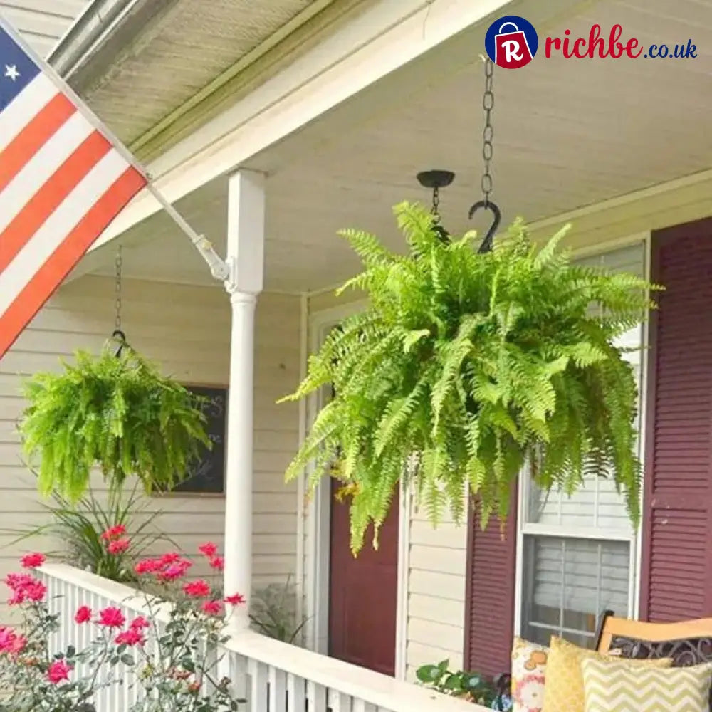 💛Glowing Boston Ferns with Lights – 🌿 Zero Watering Zero Maintenance
