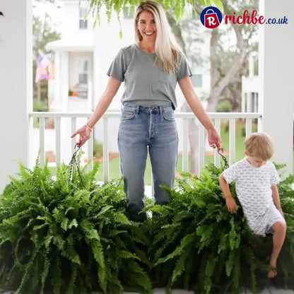 💛Glowing Boston Ferns with Lights – 🌿 Zero Watering Zero Maintenance