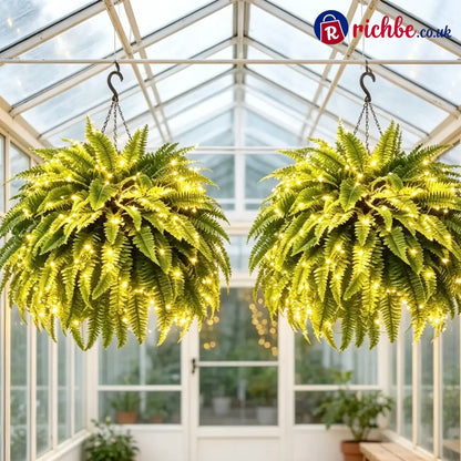 💛Glowing Boston Ferns with Lights – 🌿 Zero Watering Zero Maintenance