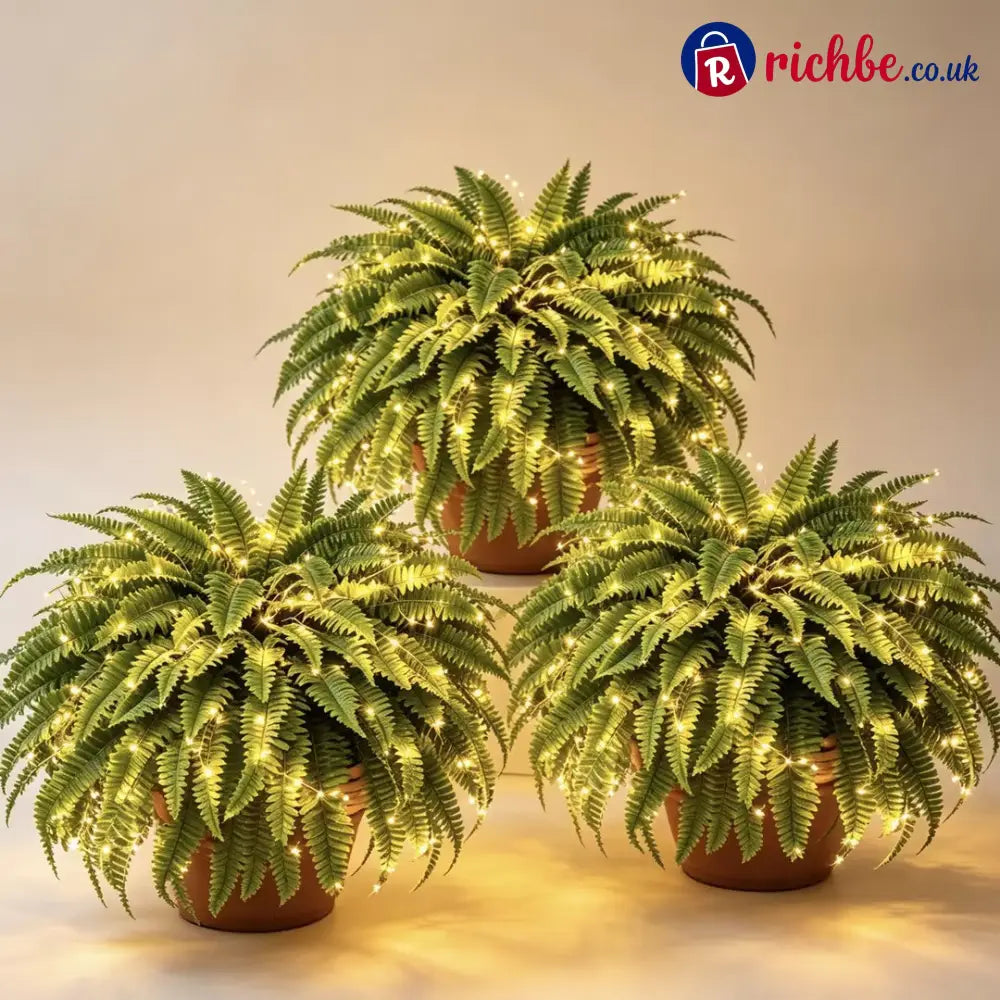💛Glowing Boston Ferns with Lights – 🌿 Zero Watering Zero Maintenance