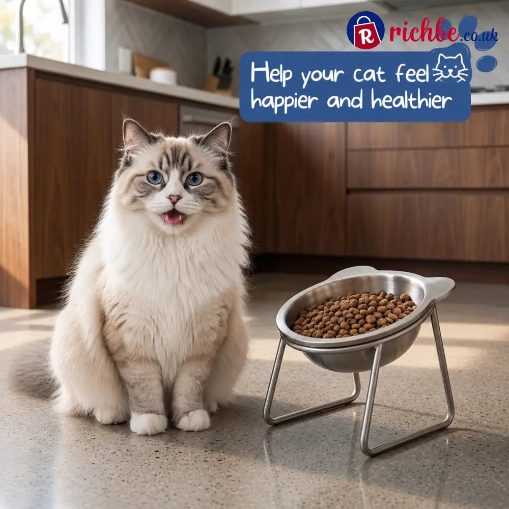 🎃Halloween Deal 50% OFF!🥣15° Tilted Orthopaedic Feeding Bowl - 🔥Buy 2 get 1 free（3PCS） - Pet Supplies