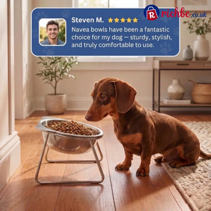🎃Halloween Deal 50% OFF!🥣15° Tilted Orthopaedic Feeding Bowl - 💥Buy 3 get 2 free（5PCS） - Pet Supplies