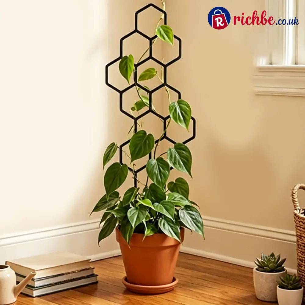 🌿Honeycomb Plant Trellis – Rust-Proof Stackable Easy Install 🐝 - Black / Buy 1 Get 1 Free (2PCs) - Houseware & Kitchen
