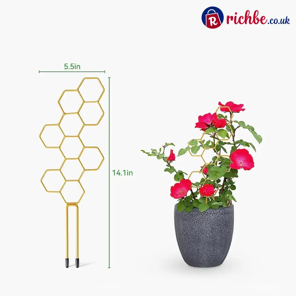 🌿Honeycomb Plant Trellis – Rust-Proof Stackable Easy Install 🐝 - Gold / Buy 1 Get 1 Free (2PCs) - Houseware & Kitchen