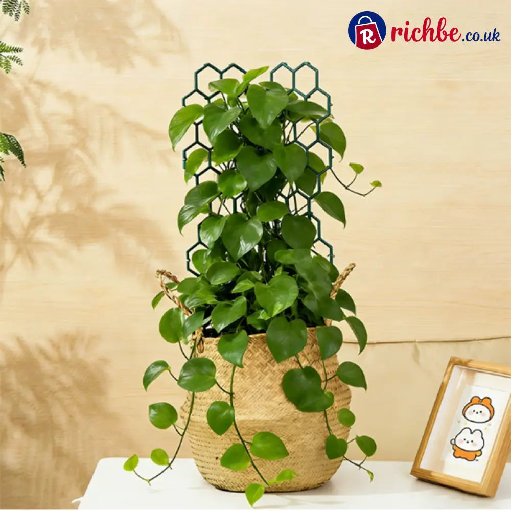 🌿Honeycomb Plant Trellis – Rust-Proof Stackable Easy Install 🐝 - Houseware & Kitchen