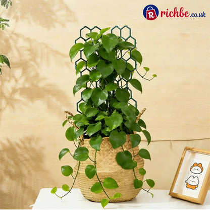 🌿Honeycomb Plant Trellis – Rust-Proof Stackable Easy Install 🐝 - Houseware & Kitchen