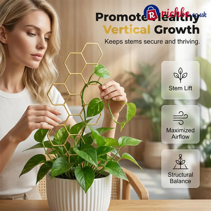 🌿Honeycomb Plant Trellis – Rust-Proof Stackable Easy Install 🐝 - Houseware & Kitchen