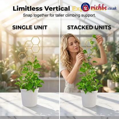 🌿Honeycomb Plant Trellis – Rust-Proof Stackable Easy Install 🐝 - Houseware & Kitchen
