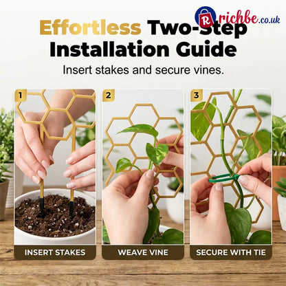 🌿Honeycomb Plant Trellis – Rust-Proof Stackable Easy Install 🐝 - Houseware & Kitchen